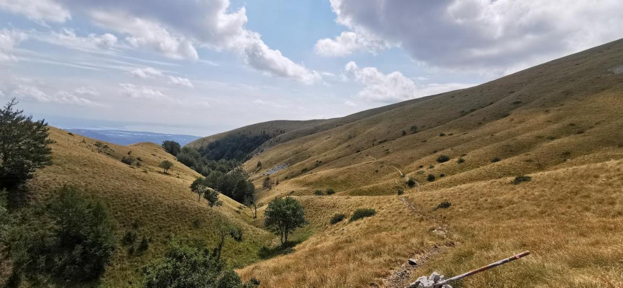 Drazice Relax House Nizic 빌라 외부 사진